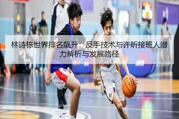 lin-shi-dong-shi-jie-pai-ming-biao-sheng-fan-shou-ji-shu-yu-xu-xin-jie-ban-ren-qian-li-jie-xi-yu-fa-zhan-lu-jing-2-438.jpg